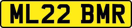 ML22BMR