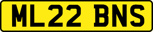 ML22BNS
