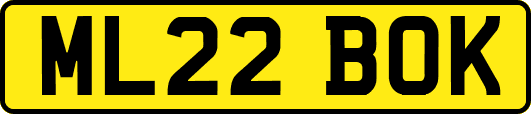 ML22BOK
