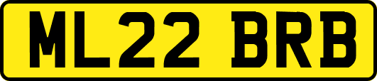 ML22BRB