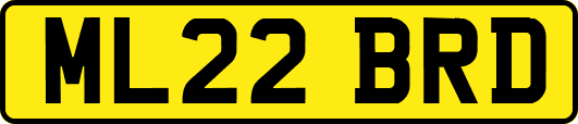 ML22BRD