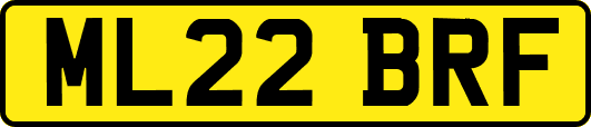 ML22BRF