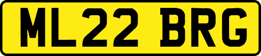 ML22BRG