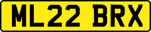 ML22BRX