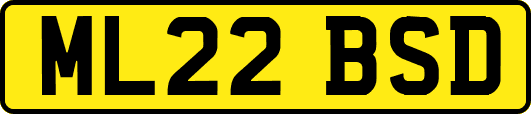 ML22BSD