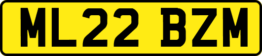 ML22BZM