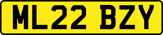 ML22BZY