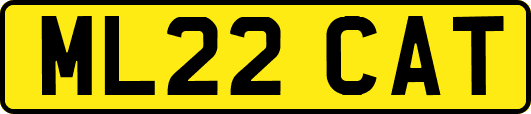 ML22CAT