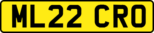 ML22CRO