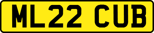 ML22CUB