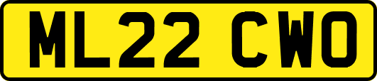 ML22CWO