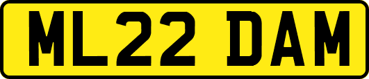 ML22DAM