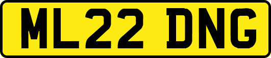 ML22DNG