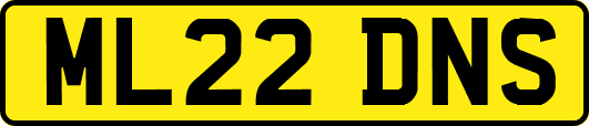 ML22DNS