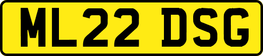 ML22DSG