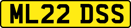 ML22DSS