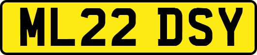 ML22DSY