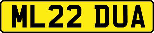 ML22DUA