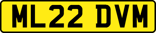 ML22DVM