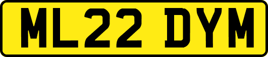 ML22DYM