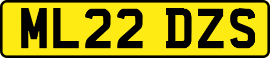 ML22DZS
