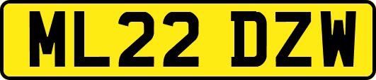 ML22DZW