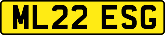 ML22ESG