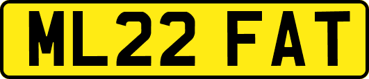 ML22FAT