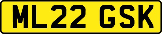 ML22GSK