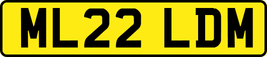 ML22LDM