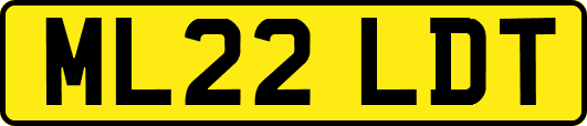 ML22LDT