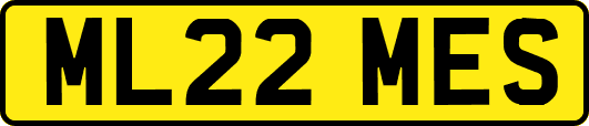 ML22MES