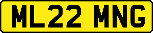 ML22MNG