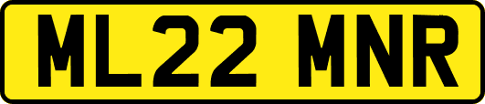 ML22MNR