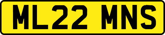ML22MNS