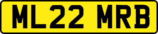 ML22MRB