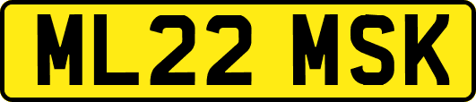 ML22MSK