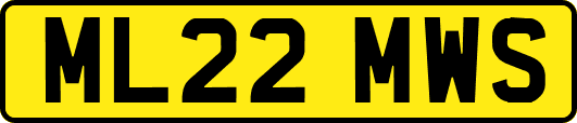 ML22MWS