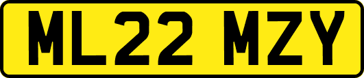 ML22MZY