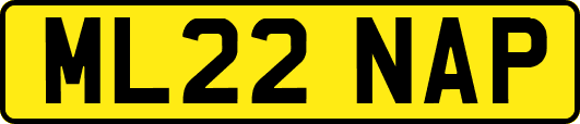 ML22NAP