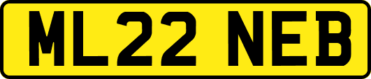 ML22NEB