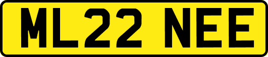 ML22NEE