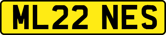 ML22NES