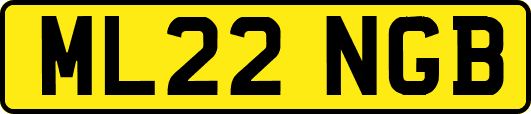 ML22NGB