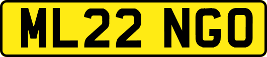 ML22NGO