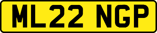 ML22NGP