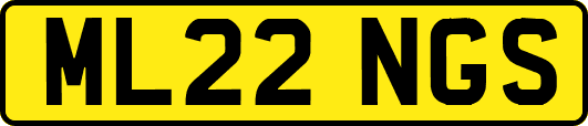 ML22NGS
