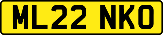 ML22NKO