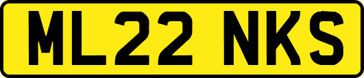 ML22NKS