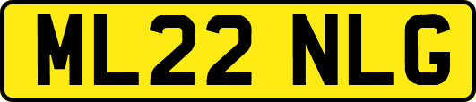 ML22NLG